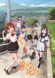 Na Nare Hana Nare Episode 9